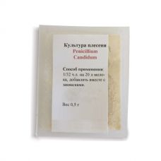 Культура плесени Penicillium Candidum в Якутске